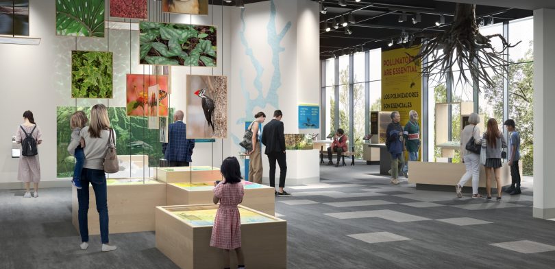 Piedmont Explorations gallery rendering